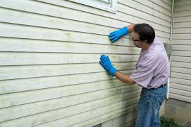 Best Siding Replacement  in Washburn, ND